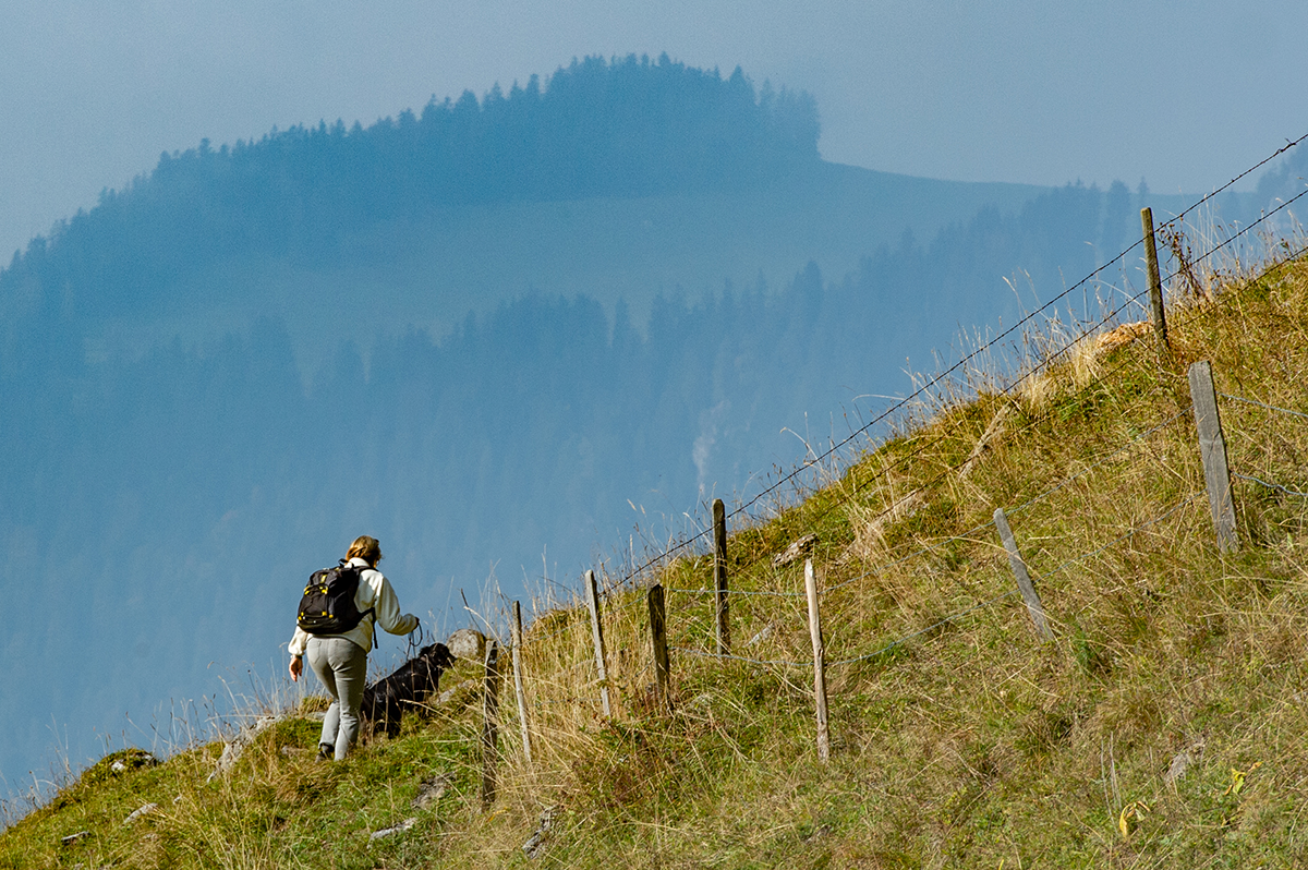 Diagonalen – Spannung, Tiefe und Bewegung im Bild