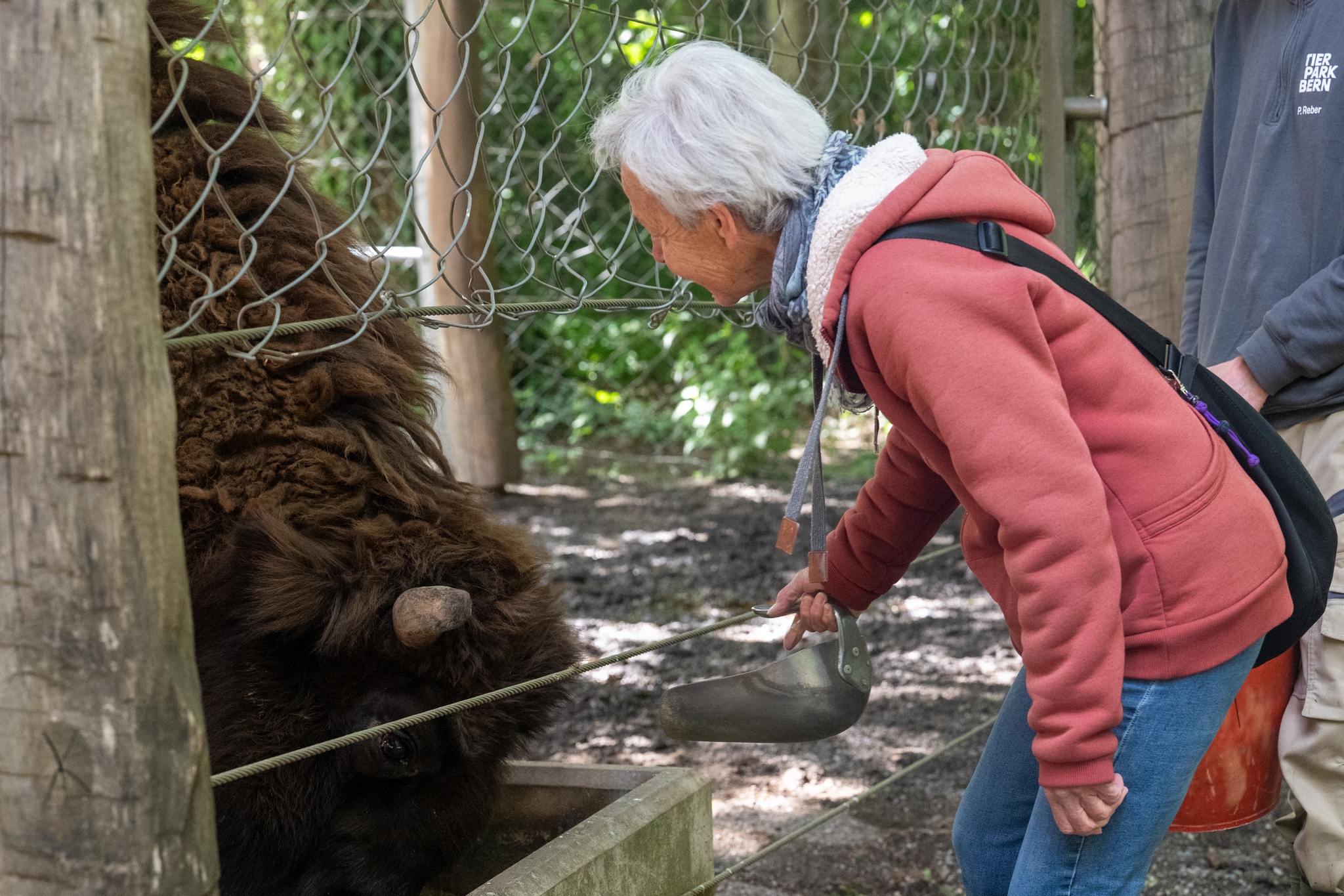 15 05 2026 Wisent Fuettern 012 – Fotografie Roland Peter
