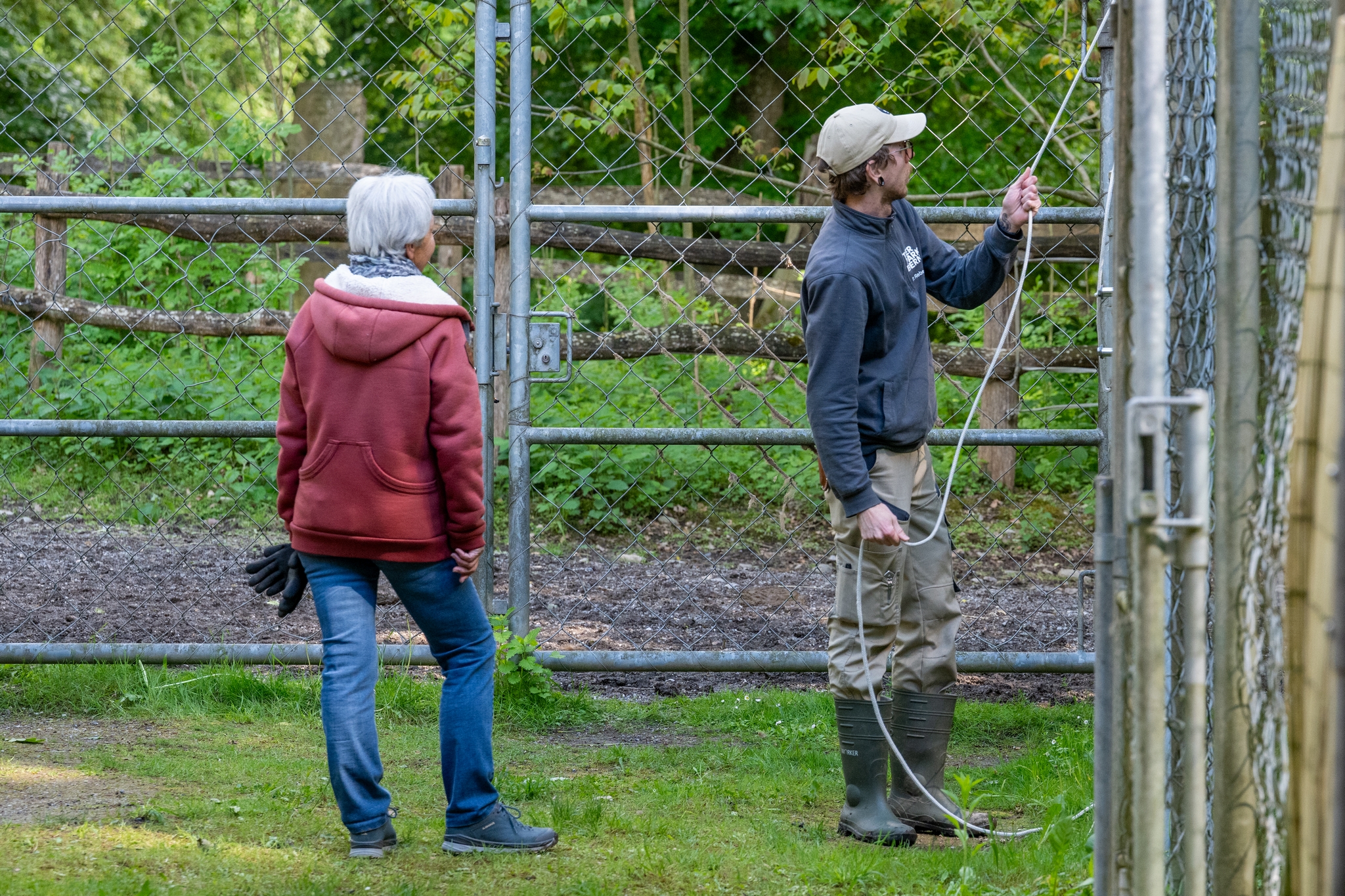 15 05 2026 Wisent Fuettern 030 – Fotografie Roland Peter