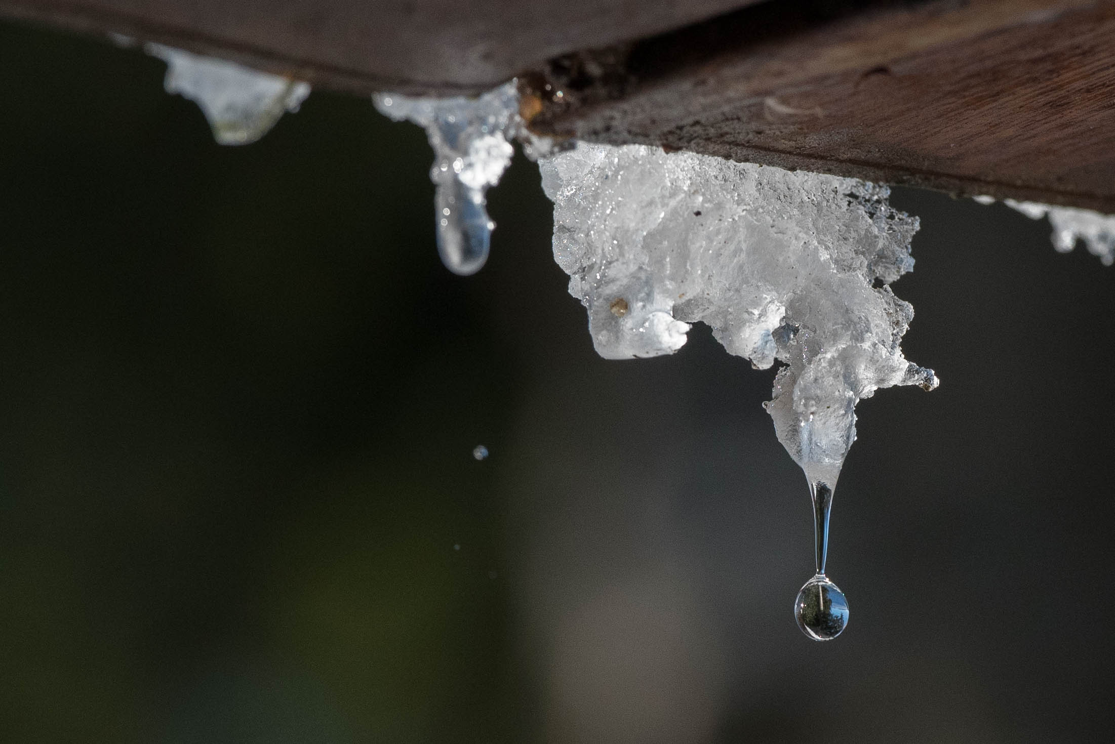 Eiszapfen mit Tropfen – Natur – Roland Peter