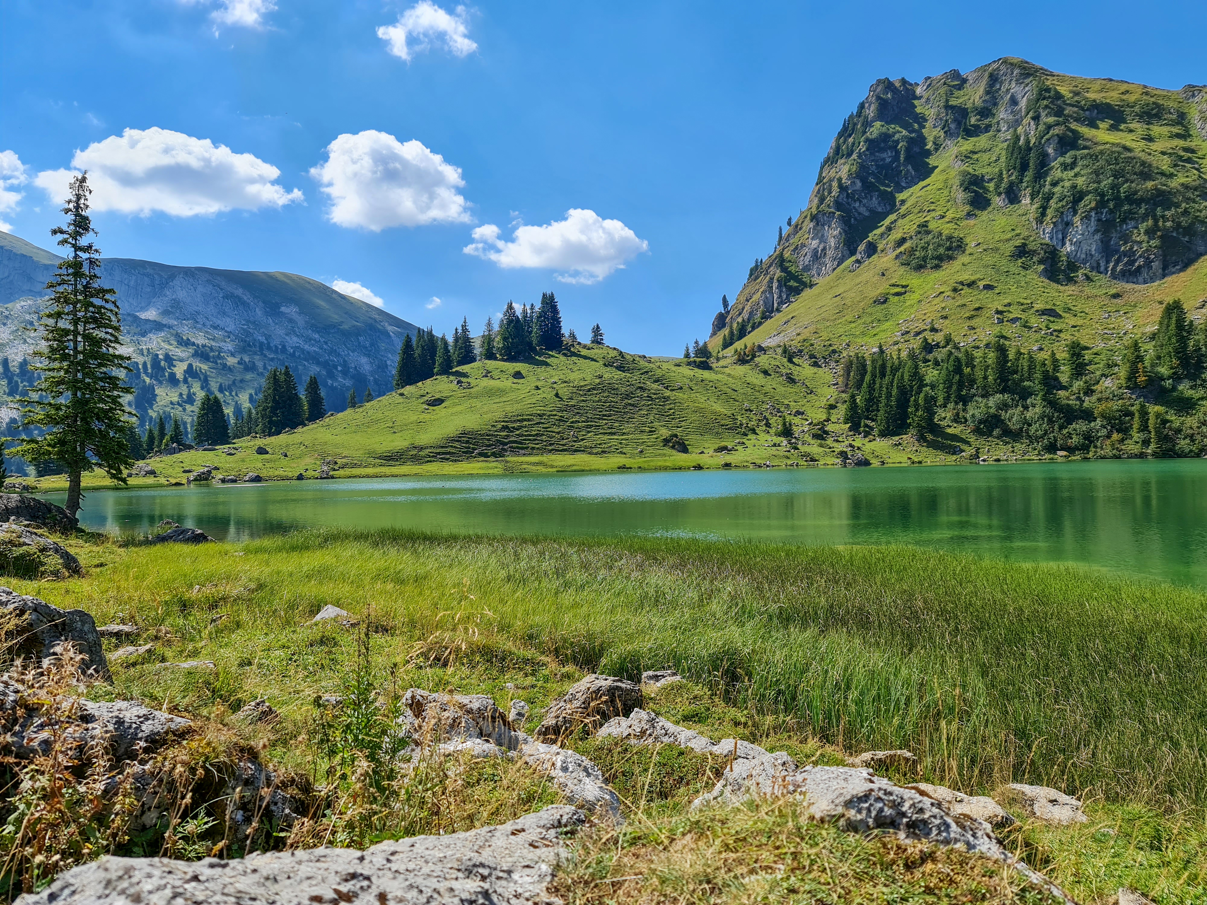 Seebergsee im Berner Oberland – Natur – Roland Peter