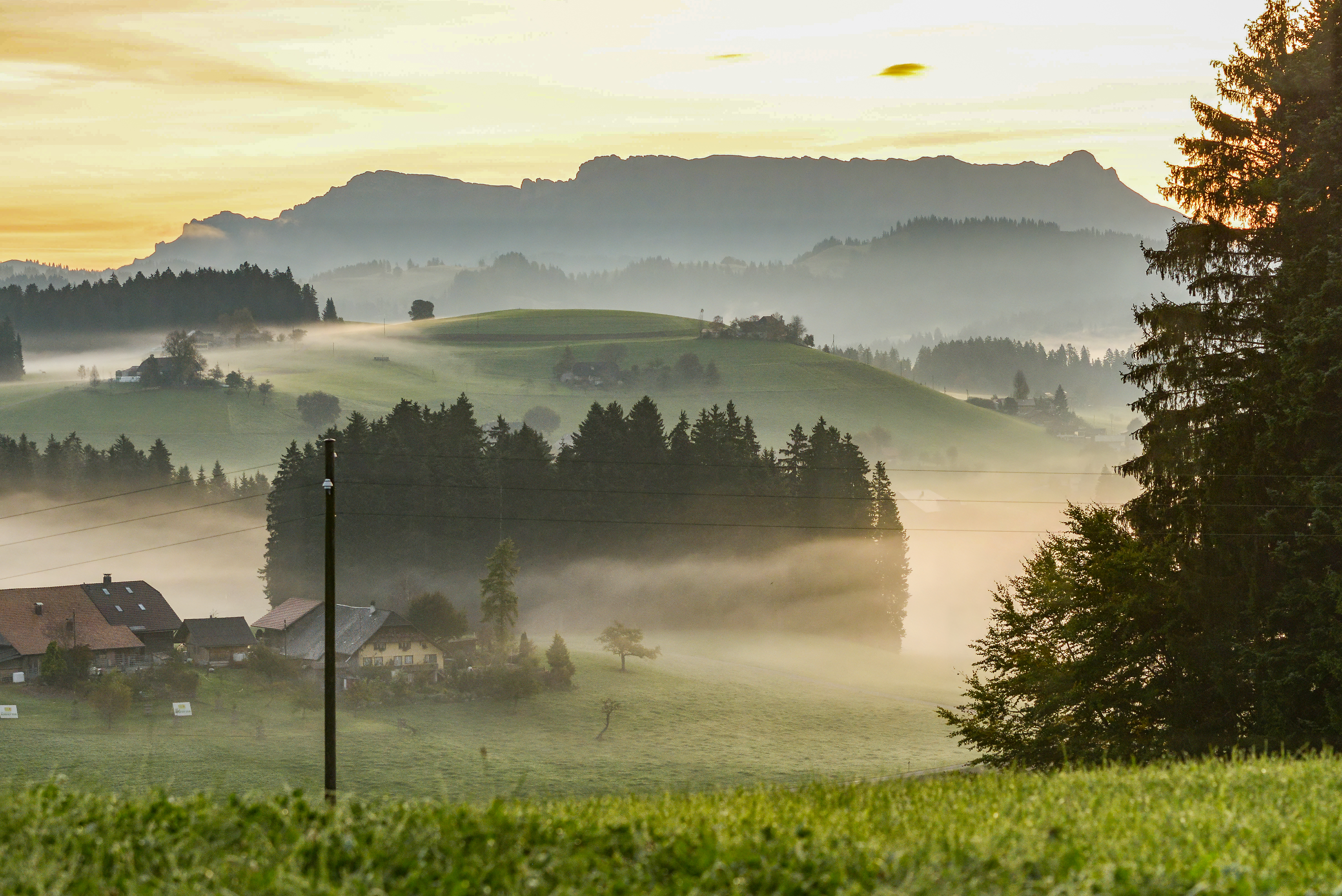 Morgennebel in Heimenschwand – Natur – Roland Peter