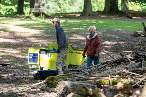 15 05 2026 Wisent Fuettern 019 – Bestandteil der Serie Füttern der Wisents im Dählhölzli – Roland Peter